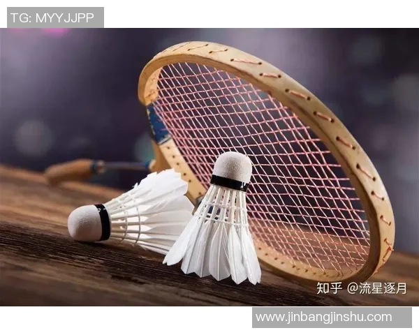 杭州羽毛球队引领最新羽毛球意识TOP10榜单全景解析